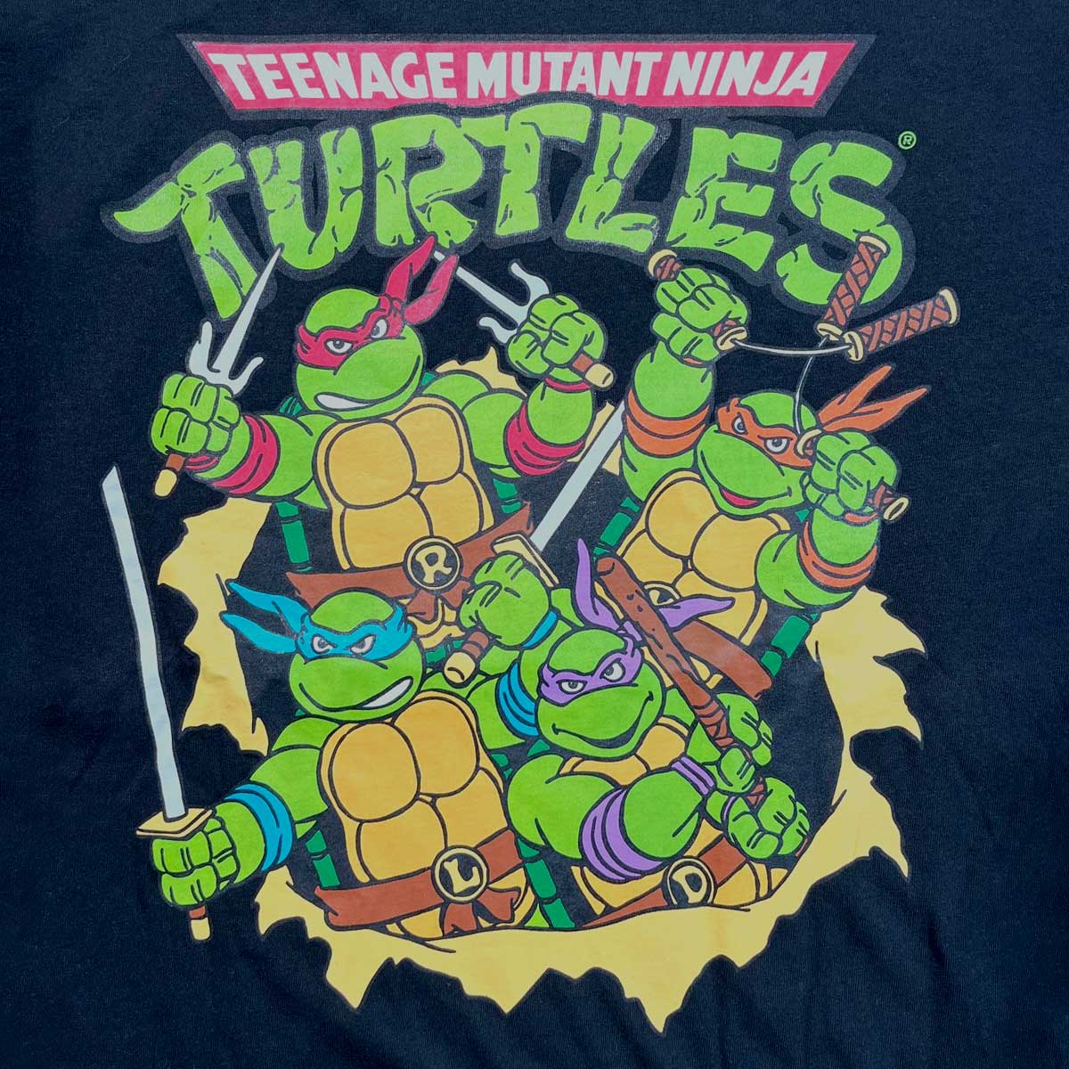 Las Tortugas Ninja (TMNT) Camiseta